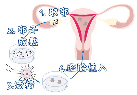 环境